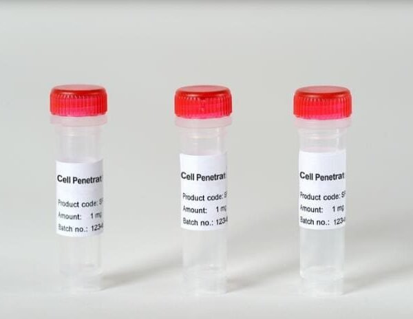 (Arg)9 Nona-D-Arginine Peptide