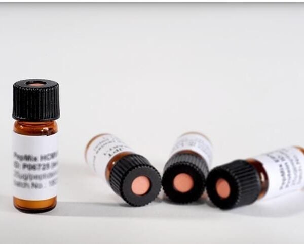 Antigen Peptide Capsid protein H2-Ld (VPQYGYLTL)